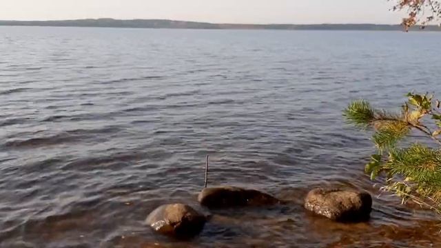 Йогурт, мацони, катык, сузьма, курт.... смотреть онлайн