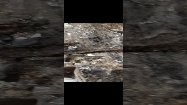 Минералы из моей колекции смотреть онлайн