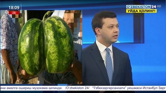 Қайси давлатга қанча тарвуз экспорт қилинди? смотреть онлайн