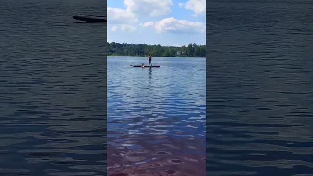 Медное озеро в июле. Ленинградская область #russia #lake #nature смотреть онлайн