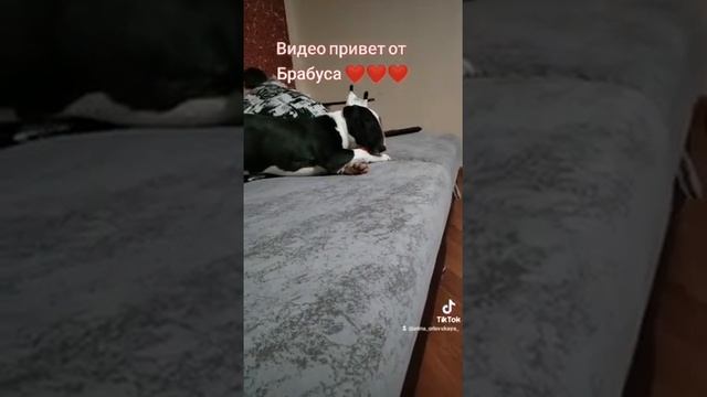 Бублик смотреть онлайн