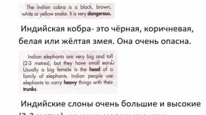 SPOTLIGHT 5 учебник страницы 66-67