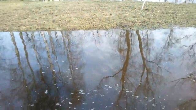 Лашары искупались в одежде прям в воду смотреть онлайн