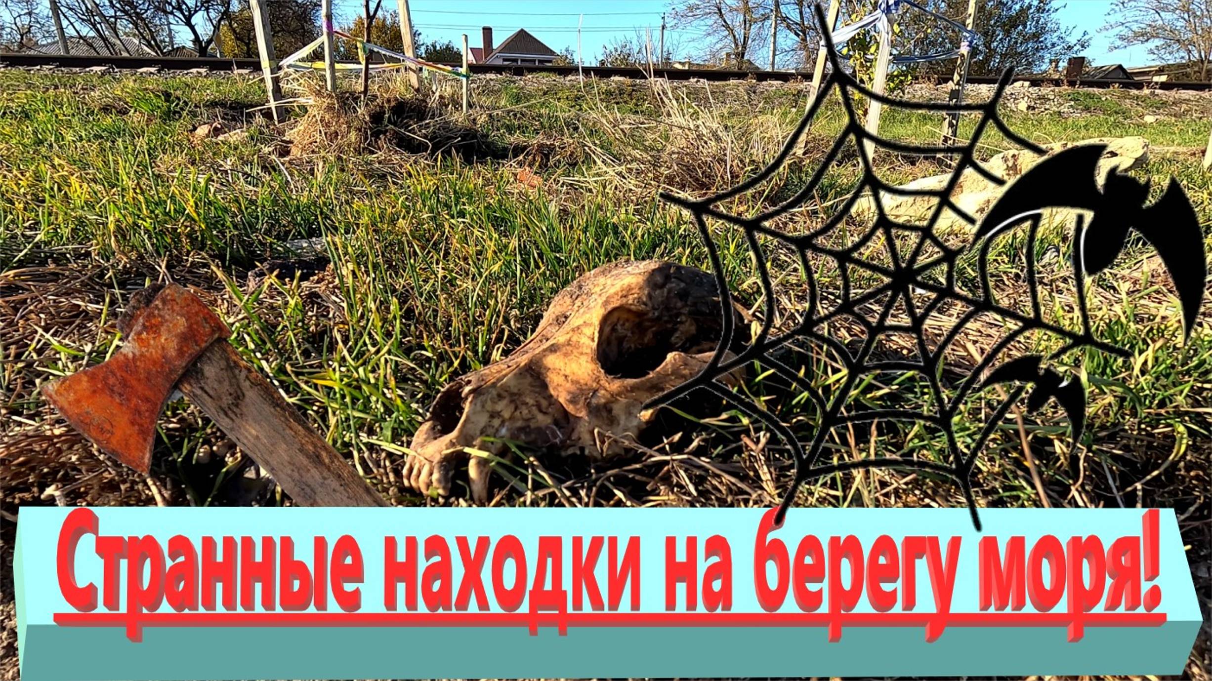 Странные находки на берегу моря. Море вымыло из берега то, что зарыли в прошлом веке. Ейск. смотреть онлайн