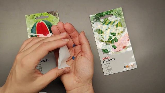 Арбузы и дыни. 2024 год. Посев семян на рассаду. Когда и как сажать арбузы и дыни. смотреть онлайн