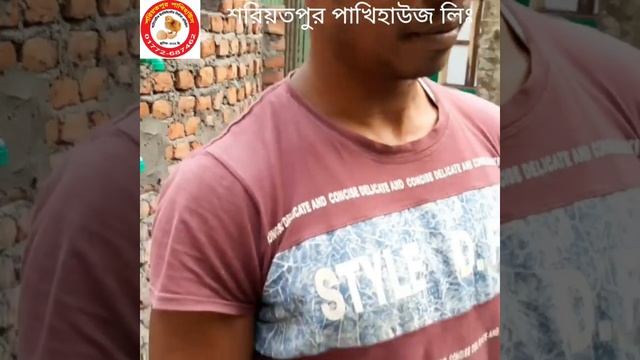 কিভাবে বায়োফ্লক সিমেন্ট ট্যাংক তৈরি করবেন | পর্ব-৫ | How to make biofloc cement tank | Part-5 смотреть онлайн