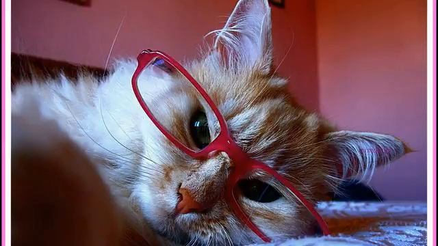 Романтика музыки. Волшебное видео. Я тащусь! смотреть онлайн