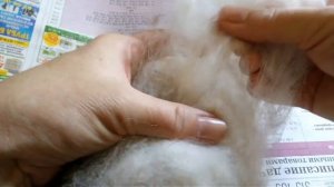 Прядение. Часть 1 подготовка шерсти.