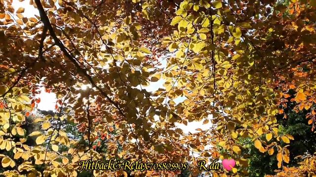 BEFORE THE NEXT TEAR DROP FALLS ~ DOLLY PARTON смотреть онлайн