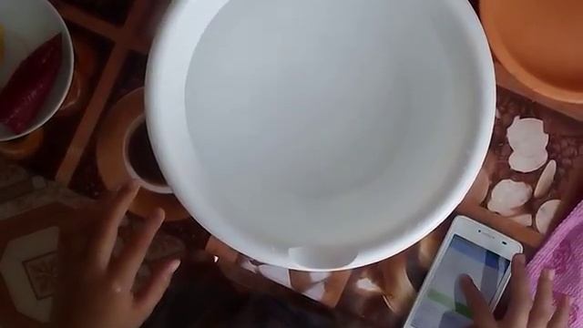 Лейла на каникулах достает предметы из воды за 7 секунд. смотреть онлайн