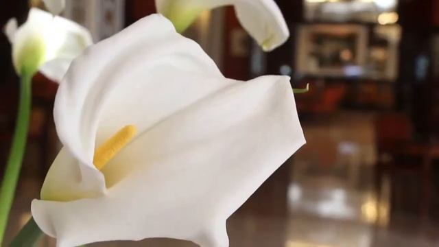 Italy Abano Grand Hotel смотреть онлайн