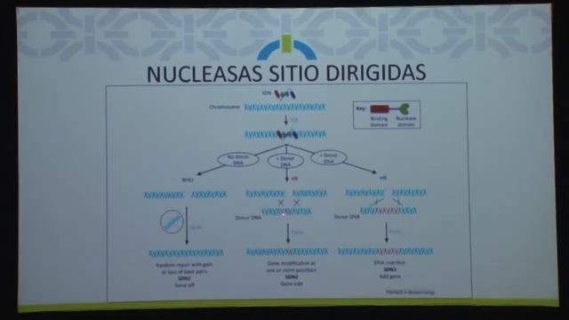 Estado actual y perspectivas de la biotecnología agrícola смотреть онлайн