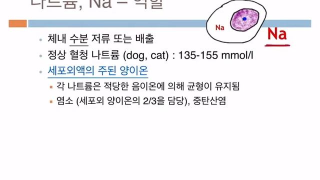 전해질 смотреть онлайн