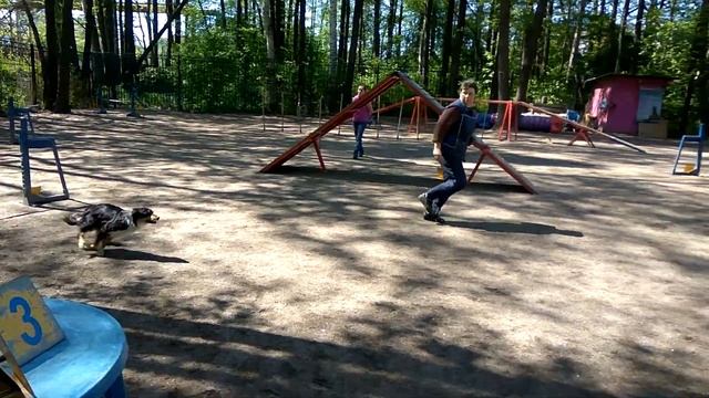 5 июня 2017 г. смотреть онлайн