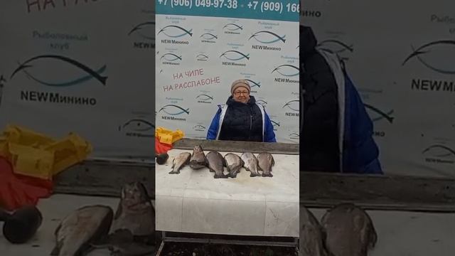 улов нашего гостя смотреть онлайн