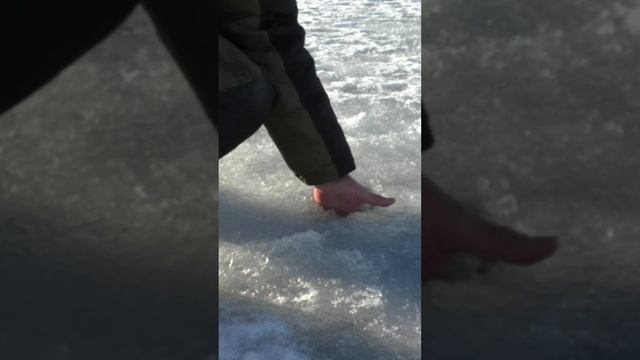 Первый лёд 2023 - 2024. Можно бегать ! смотреть онлайн