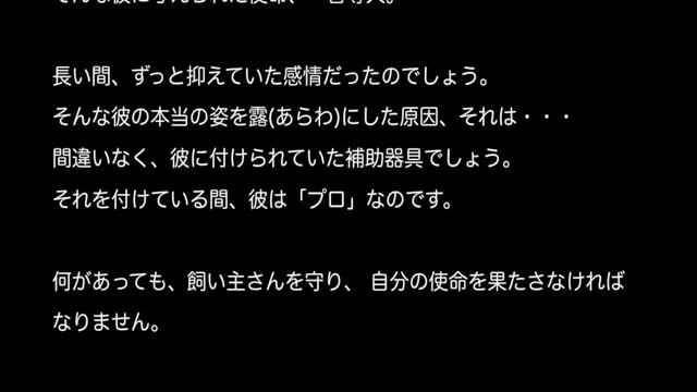 豹変した盲導犬 смотреть онлайн
