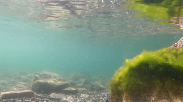 2024.06.13 - 18.19-18.48. Тургояк, видео под водой смотреть онлайн