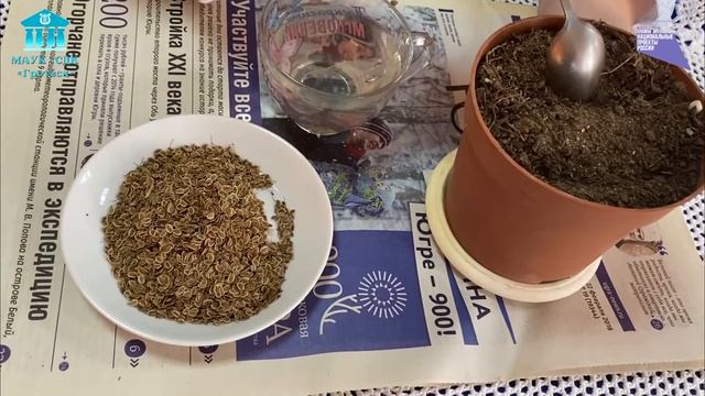 ПОЛЕЗНЫЕ СОВЕТИКИ | ДОМАШНИЙ ОГОРОД смотреть онлайн