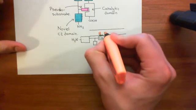 The PKC Pathway Part 9 смотреть онлайн
