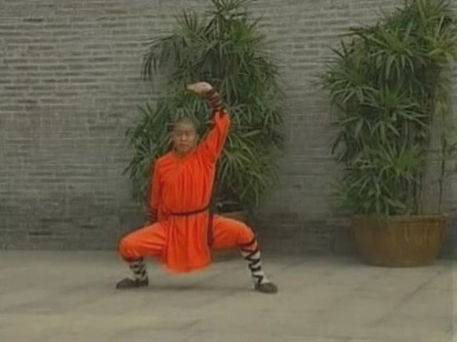 Шаолинь стиль 5 зверей и 16 техник смотреть онлайн