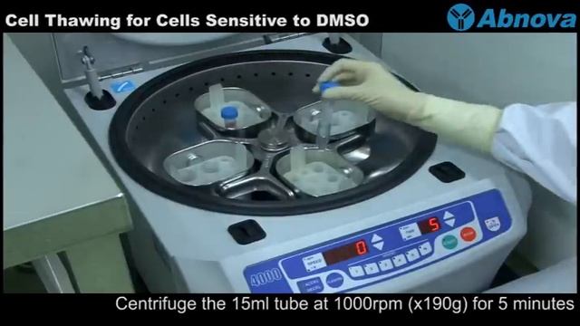 Cell Thawing for Cells Sensitive to DMSO смотреть онлайн