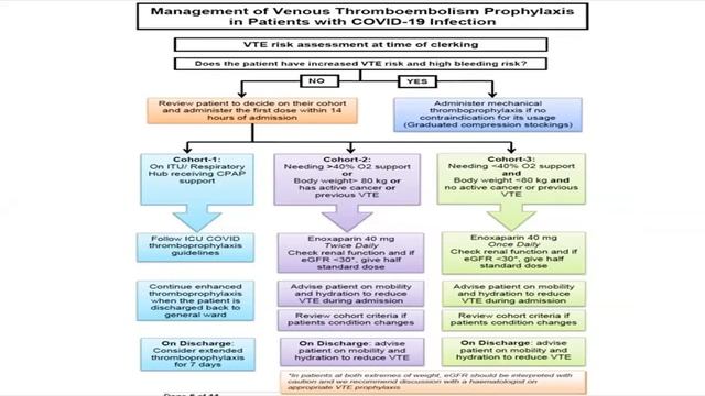Clinical Management of COVID 19 смотреть онлайн