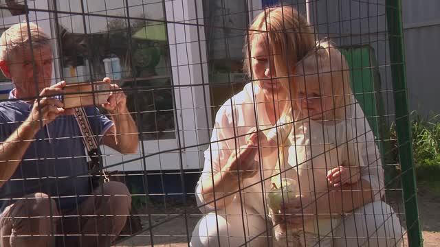 Зоопарк . Цыплятки смотреть онлайн