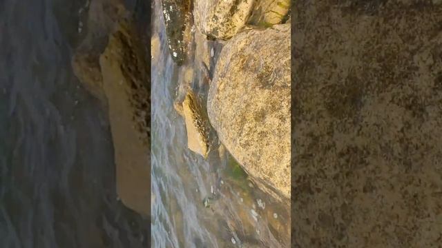 Размышления репетитора на берегу Каспийского моря. Дербент смотреть онлайн