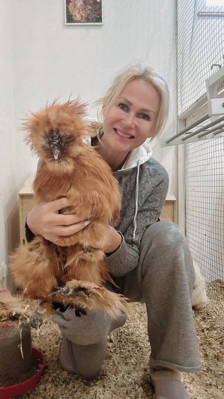 Будни в курятнике 😍 смотреть онлайн