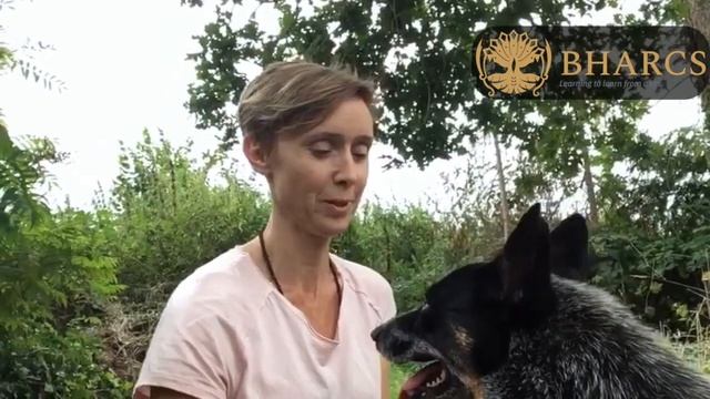 Els introducing SI смотреть онлайн