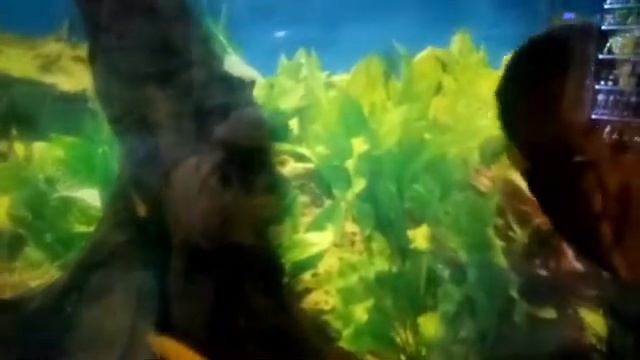 #релакс видео #relax video тихая музыка смотреть онлайн