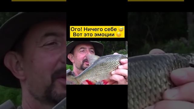 А чему вы радуетесь больше всего? смотреть онлайн