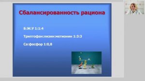 Лекция 1.6. Питание как фактор сохранения и укрепления здоровья
