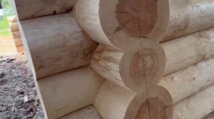 Сруб для будущего дома из хвойного бревна, размер дома 6 на 6 метров