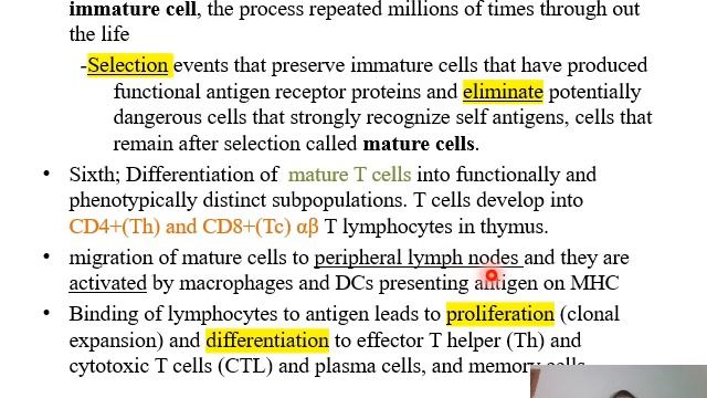 Lymphocytes Development 2022 смотреть онлайн
