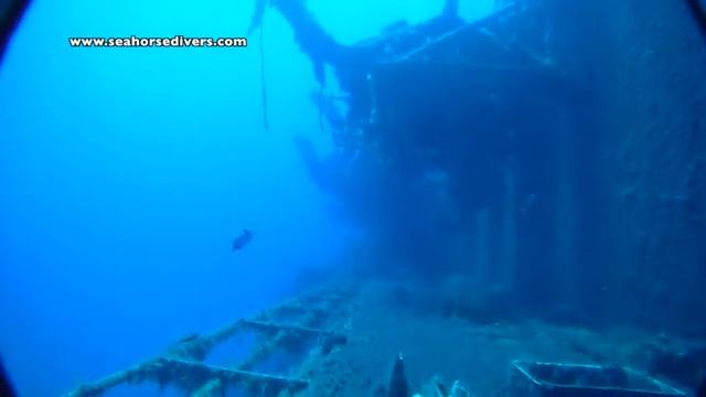 Sea Horse Divers - Zenobia - Rene's footage смотреть онлайн