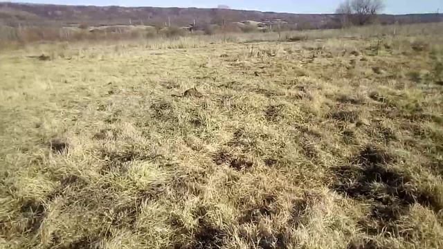 первый электродвигатель смотреть онлайн