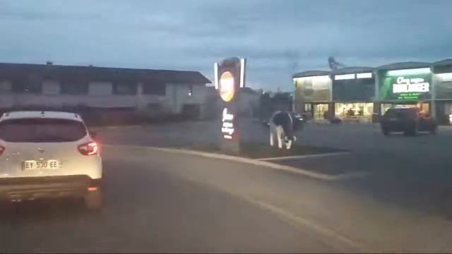 На Аеропорт Lyon смотреть онлайн