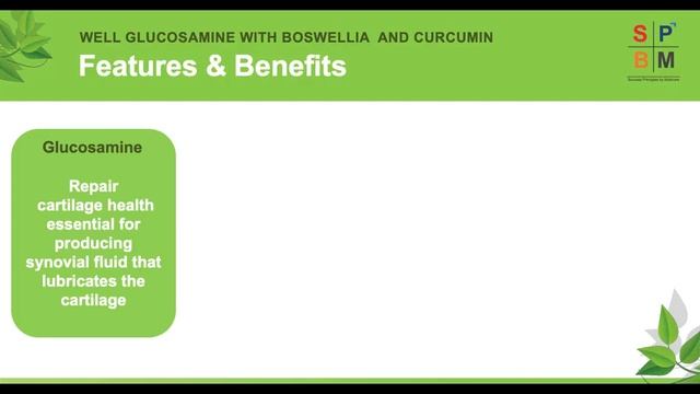 Well Glucosamine with Boswellia And Curcumin смотреть онлайн