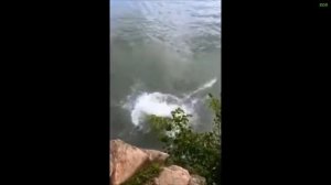 = СМЕШНЫЕ ПРЫЖКИ В ВОДУ = приколы