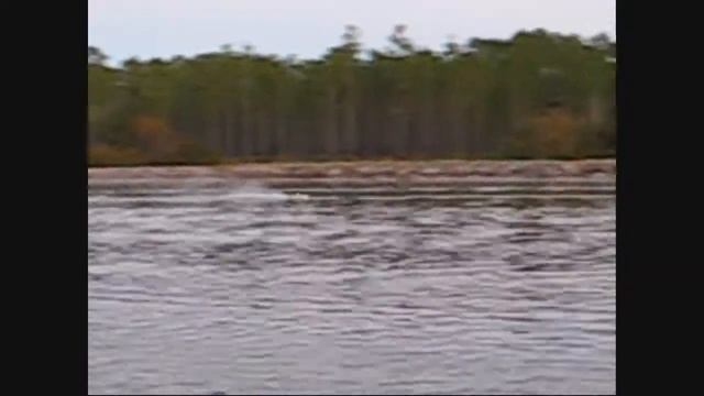 Miss Attitude @ The Test Pond With Go Engine Marine .18 & OS Carb 11-26-09 смотреть онлайн