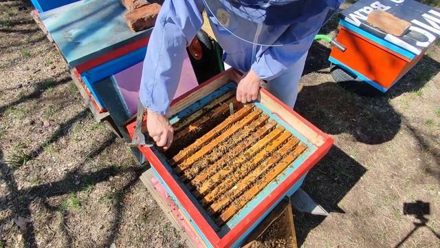 Мир научного дизайна