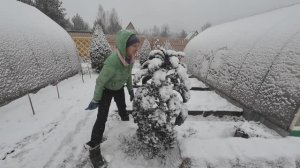 6 соток 20 ноября 2024 года. Хроника.