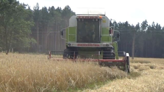 🔥 Wrześniowa Kampania Żniwna 🔥Claas Dominator 98 Maxi🔥Steyr 8165 Turbo & McHale F5 600🔥 смотреть онлайн