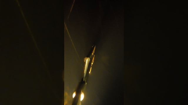 Подводная охота на леща