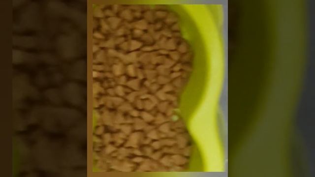 الاكل الجيد للقطط العقم Purina One pour Chats castrés смотреть онлайн