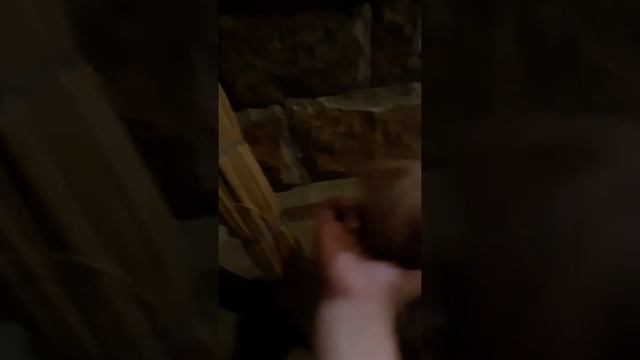18 октября 2019 г. смотреть онлайн