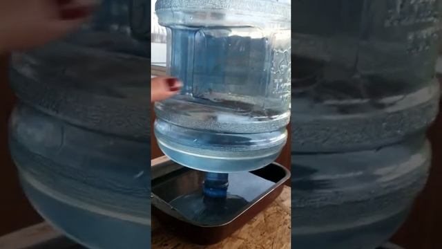 Поилка для большого количества кур смотреть онлайн