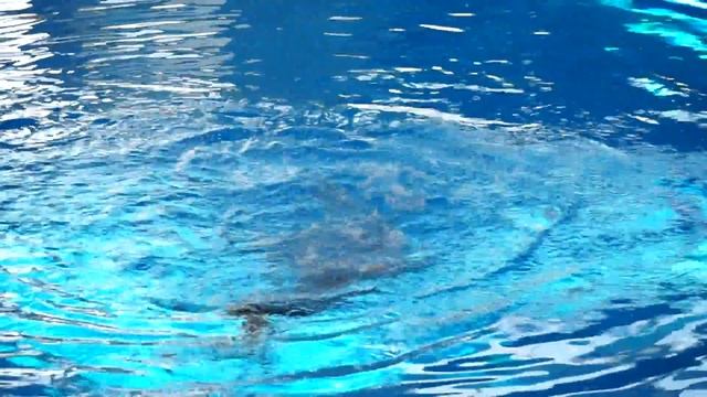 Дуэт Марта и Лера смотреть онлайн